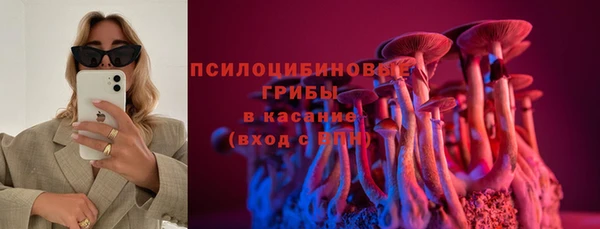 прущие грибы Нягань